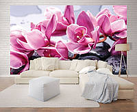 Фотообои 3 д в зал цветы 368х254 см Розовые орхидеи на камнях СПА (1337P8)+клей