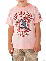 Модная детская футболка для мальчика с рисунком попугая BRUMS Италия 151BFFN022 Розовый