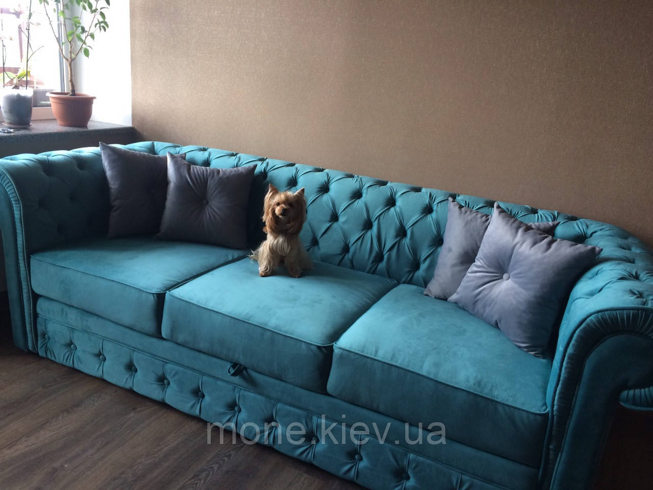 Класичний диван Честер із розкладкою для щоденного сну