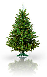 Ялинка штучна - Кармен, 150 см, з 2 частин, пластикова ніжка, ялинка, зелений, ПВХ (КМ-150)