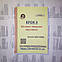 Крок 3. Медицина. Буклети 2005, 2006, 2007, 2008. Для українців україномовних. Формат А5, фото 2