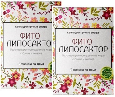 Фито Липосактор - комплекс для похудения (День, Ночь) - фото 1 - id-p1020515526