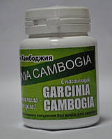 Порошок Garcinia Cambogia Гарцинія Камбоджійська для схуднення. Жироспалювачі