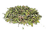 М'ята перцева трава 50 грамів (Mentha piperita)