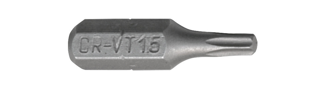 Біта Torx TX 15/25 (10 шт) (20009721009)