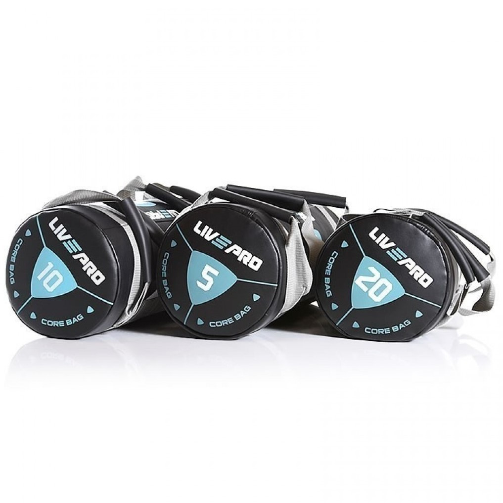 Мешок для кроссфита с ручками 10кг LivePro POWER BAG черный/серый - фото 1 - id-p1020823301