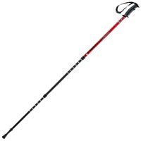 Трекінгові палиці, палиці для скандинавської ходьби