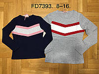 Реглан з легким начосом для дівчат оптом, F&D, 8-16 років, № FD7393, фото 8