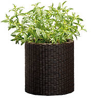 Горшок для цветов Small Cylinder Planter