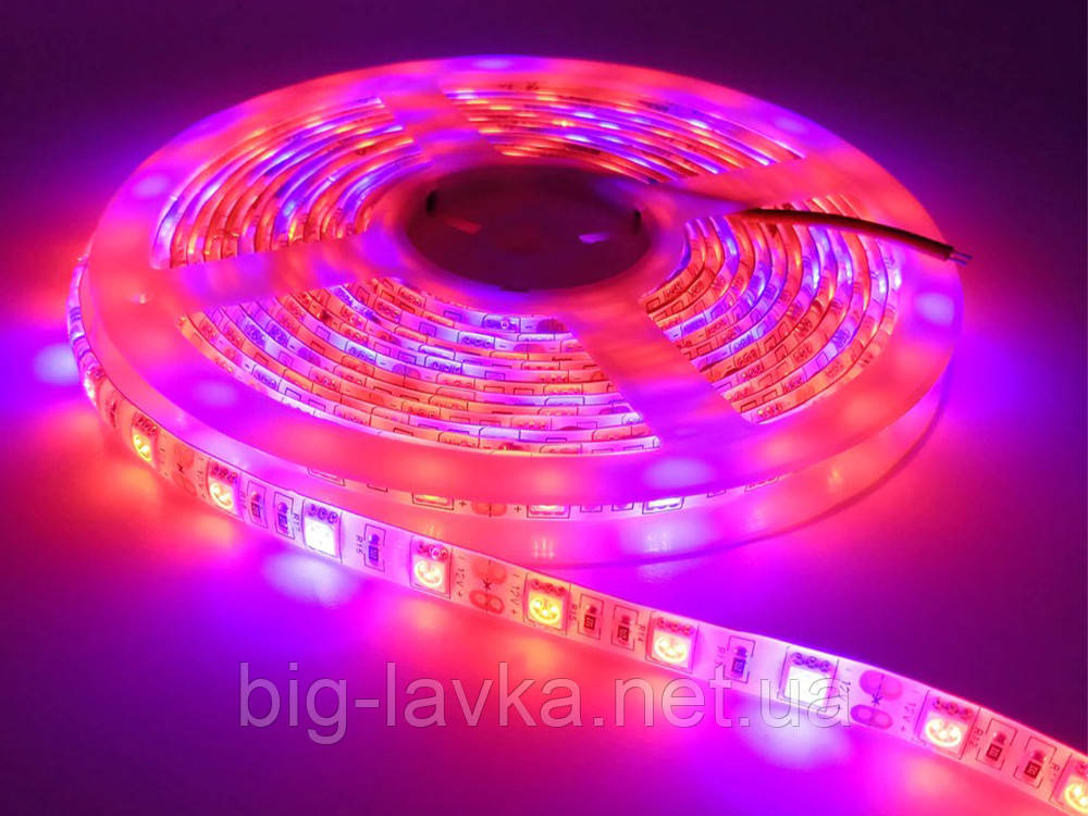 LED фітолента для росту рослин з повним спектром (4 червоних, 1 синіх) 5 м, фото 1