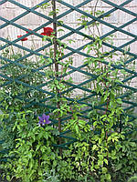 Решетка садовая 1х3м белая,зеленая опора для растений