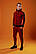 Спортивний костюм чоловічий з лампасами | худі і штани ЛЮКС якість, фото 5