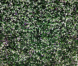 Декоративне зелене покриття-фітостіна "Бостон Плющ", Engard 50х50 см (GCK-15), фото 2