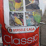 Versele-Laga Classic Parrots ВЕРСЕЛЕ-ЛАГА КЛАСИК ПЕРОТС зернова суміш з горіхами корм для великих папуг12,5кг, фото 5