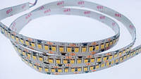 Светодиодная лента Premium SMD 2835/204 12V 4000-4500К IP20 (1м) на усиленной подложке Код.59613