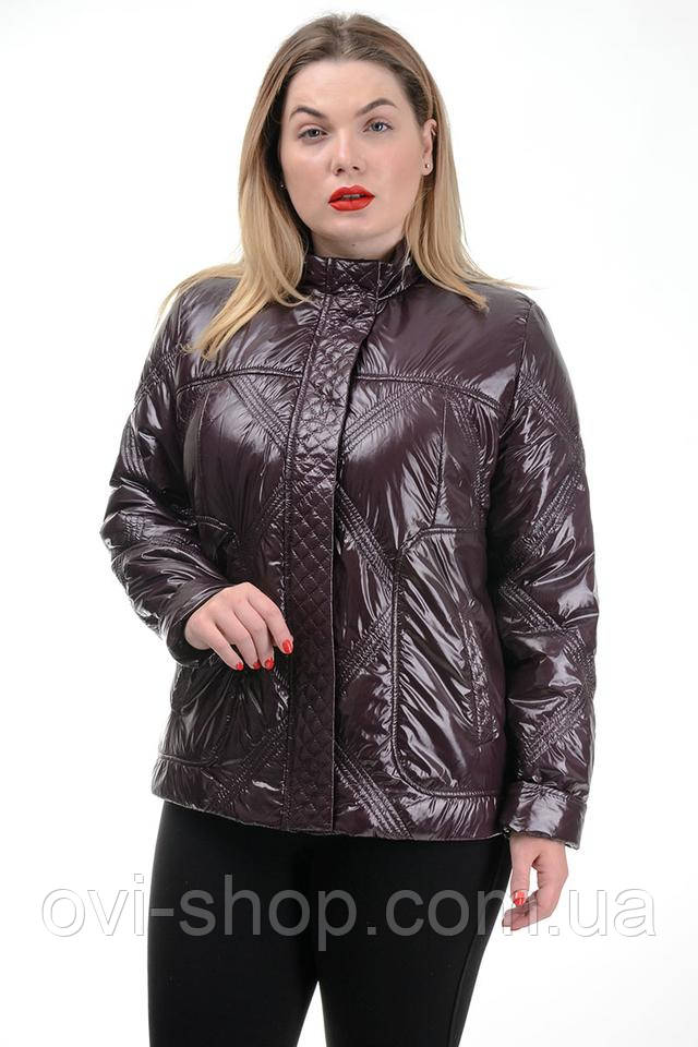 куртки лаковые