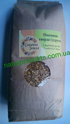 Купить Пшеница для проращивания твердых сортов (Дурум), 1 кг. Выращена ...