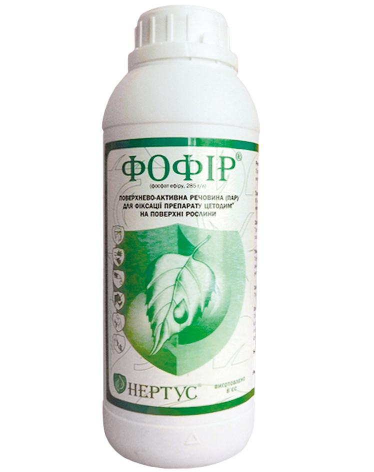 Прилипач Фофір