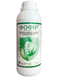 Прилипач Фофір