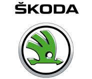 Фари SKODA