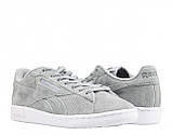 Кросівки Reebok npc uk perf, фото 3