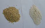Побутовий млин (мукомолка) для зерна MILLER-350. Міні млин для борошна, зерна, цукру, спецій, фото 7