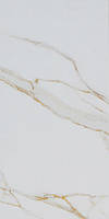 Плитка для підлоги Атем Сalacatta RP Gold W PK 295*595