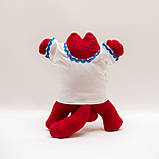 Кот Саймона в Вишиванці, фото 5