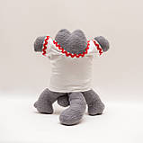 Кот Саймона в Вишиванці, фото 6