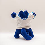 Кот Саймона в Вишиванці, фото 7