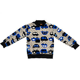 Теплий велюровий світшот "Машинки" для хлопчика. 2 роки