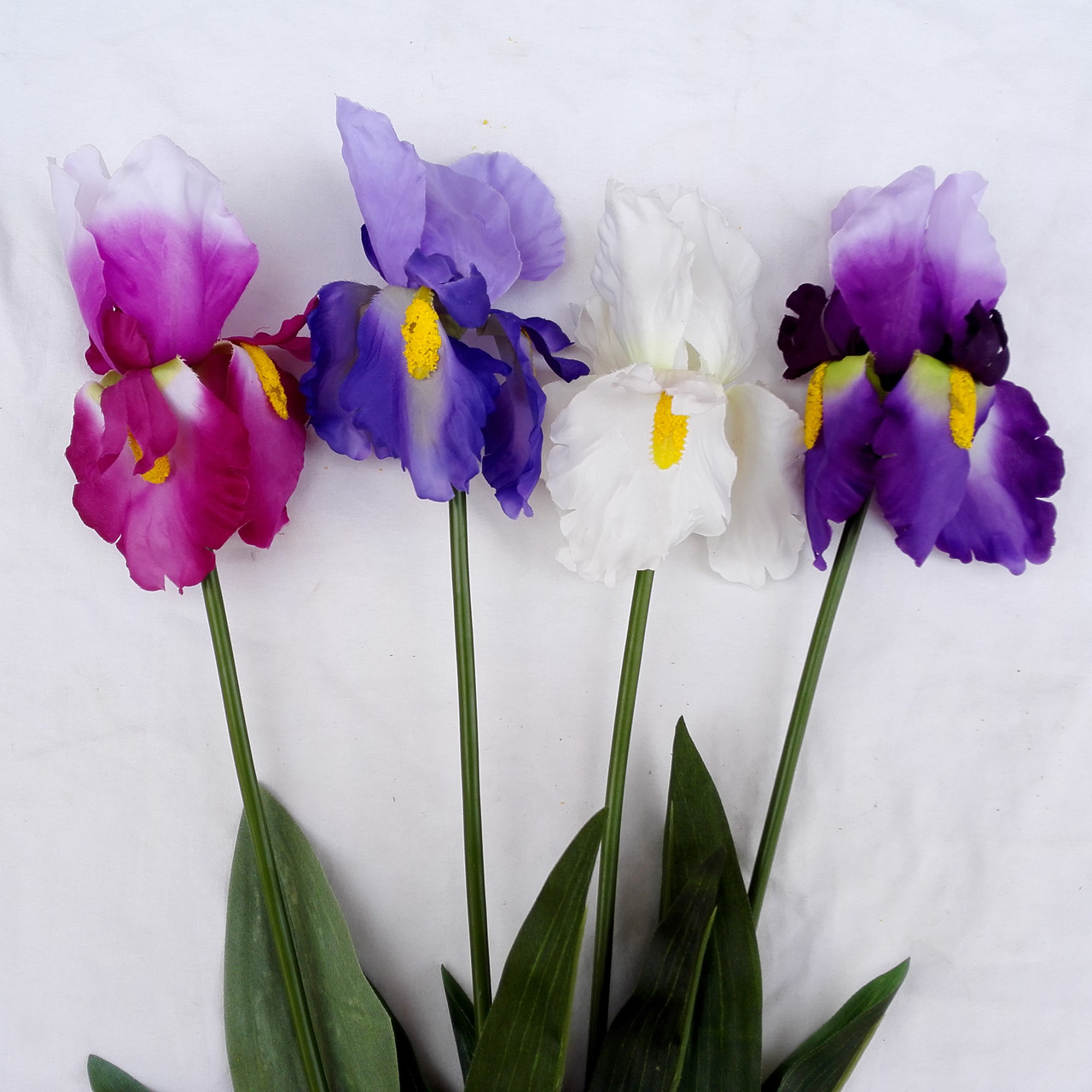 Цветы петушки гребешки, ирисы 70 см( 12 шт. в уп) - фото 1 - id-p1022753002