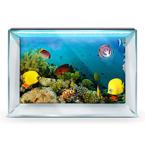 НАКЛЕЙКИ ДЛЯ АКВАРІУМІВ