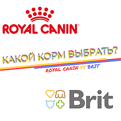 Какой корм выбрать: Royal Canin или Brit?