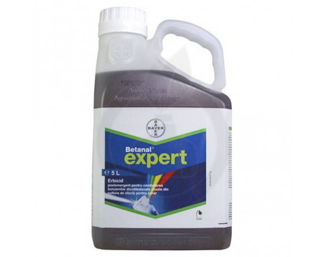 Old Chubbys Pussy онлайн