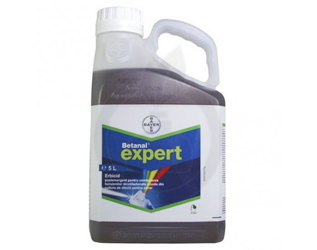 Ең керемет секс позициялары