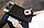 Планшет графічний XP-Pen Deco Pro Small, робоча поверхня 230*130 мм, 8 експрес-клавіш і кільце 2 в 1, фото 5