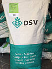 Газонна трава DSV (Euro Grass) Renovation Старіння 10 кг, Німеччина, фото 3