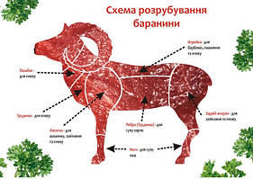 Ягнятина і баранина