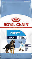 Royal Canin Maxi Puppy 15 для цуценят великих порід