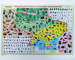 Навчальний плакат для школярів "Природні зони України. Рослинний і тваринний світ"