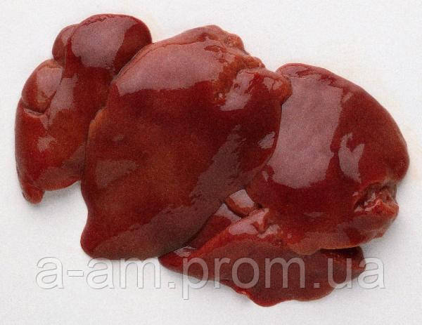Печінка (кролик)