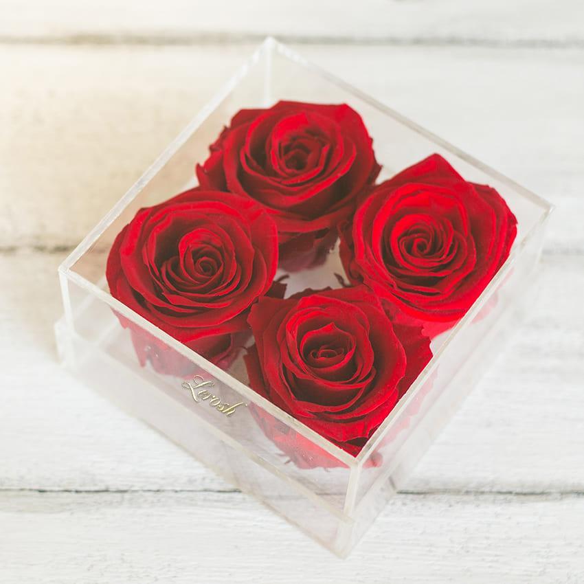 Стабілізований бутон троянда в коробці Lerosh — Standart, 4 шт., Червоний