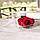 Стабілізований бутон троянда в коробці Lerosh — Standart, 4 шт., Червоний, фото 3