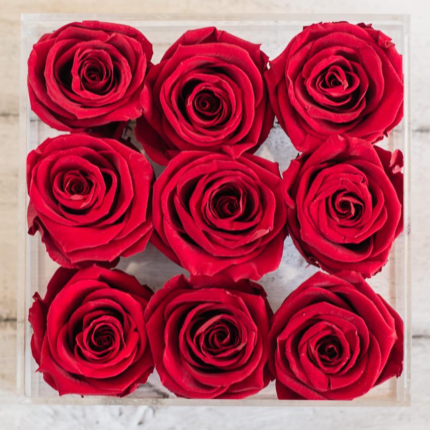 Стабілізований бутон троянда в коробці Lerosh — Standart, 9 шт., Червоний