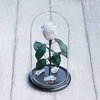 Стабілізована троянда в колбі Lerosh - Mini 27 см, Білий