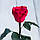 Стабілізована троянда в колбі Lerosh — Mini 27 см, Малиновий, фото 2