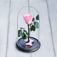 Стабилизированная роза в колбе Lerosh - Mini 27 см, Розовый