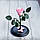 Стабілізована троянда в колбі Lerosh — Mini 27 см, Рожевий, фото 2