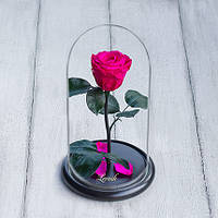 Стабілізована троянда в колбі Lerosh - Mini 27 см, Яскраво рожевий